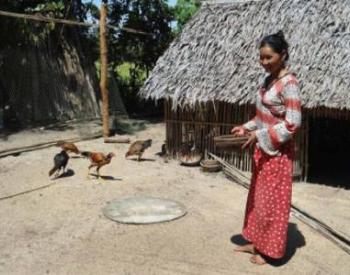 Femme handicapée suivant une formation sur l'élevage avicole au Cambodge